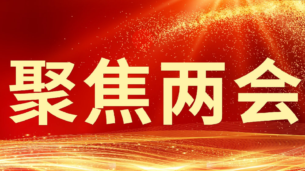 自得其乐猜一生肖,热议、解释与落实的智慧之旅 自得其乐猜一生肖,热议、解释与落实的智慧之旅