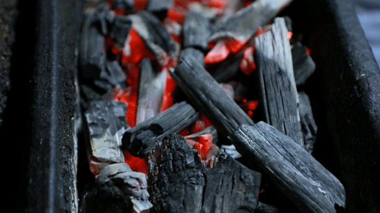 烟熏火燎，揭秘生肖中的火之舞者—蛇