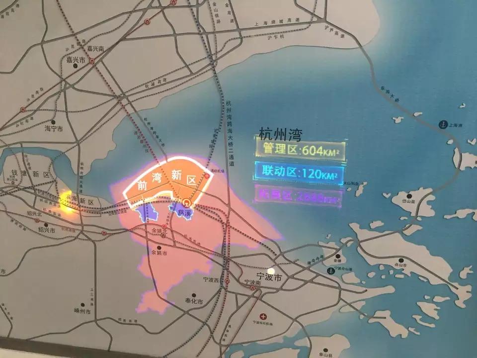 花儿与生肖的奇妙对应—绝佳解释落实