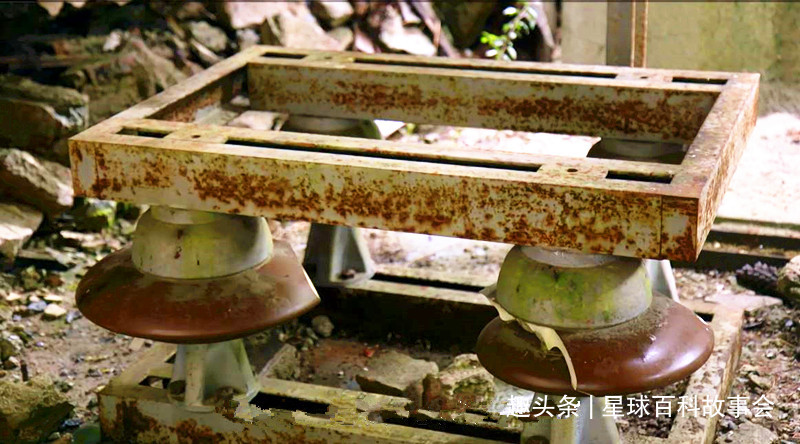 棺材与生肖之谜，人生哲理的深度解析