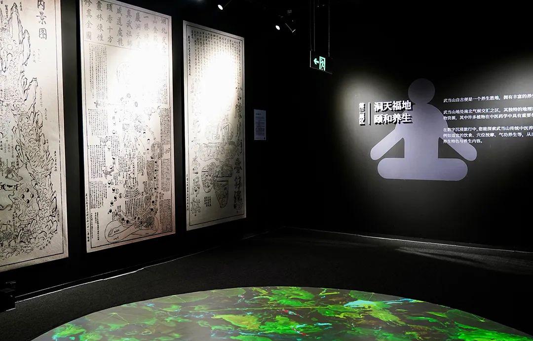 身长的动物与生肖的和谐共舞，探索传统文化与自然界的共鸣