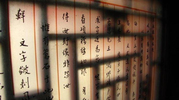 十二生肖幸运花，传统文化的神秘符号与现代生活的美好寓意