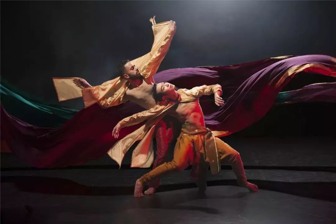 十二生肖,探寻谁是最长寿的寿星与和谐共舞的哲学 十二生肖,探寻谁是最长寿的寿星与和谐共舞的哲学