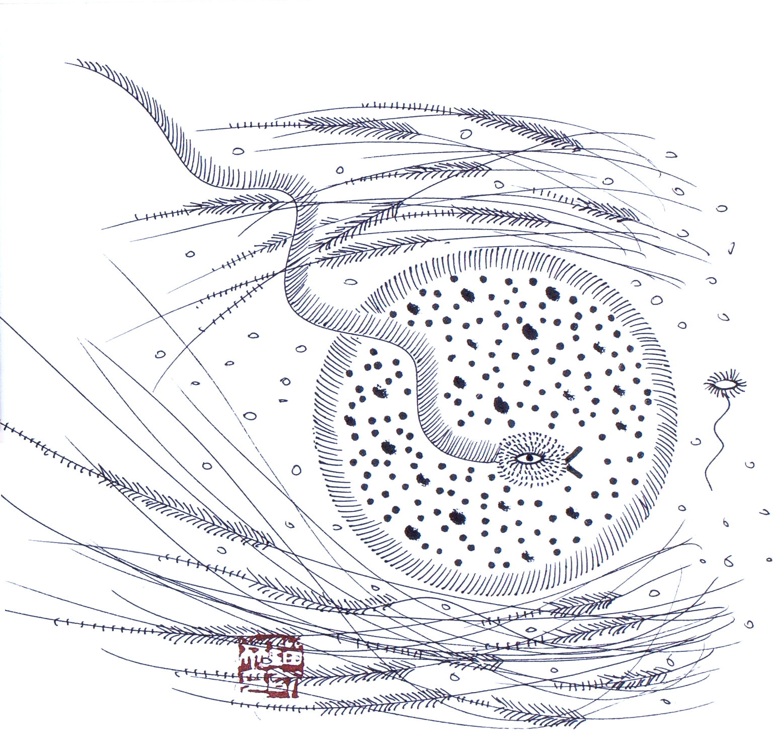 影子与生肖，暗夜中的积极行动