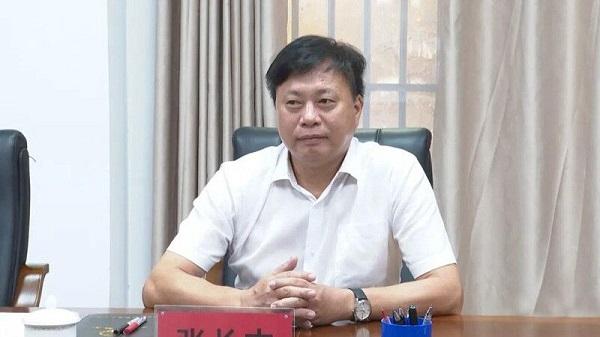 红娘属什么生肖，积极作答，落实解释