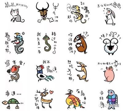 痴呆懵懂打一正确生肖，全面解析与落实