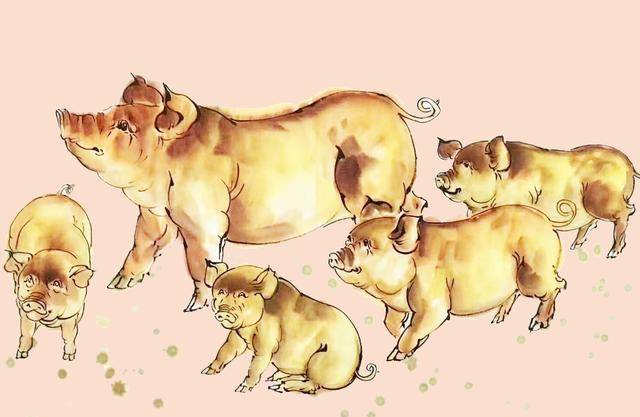 步步为营的生肖，通用解释落实