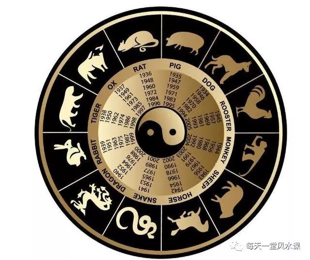 每个月属什么生肖，落实相信的解释
