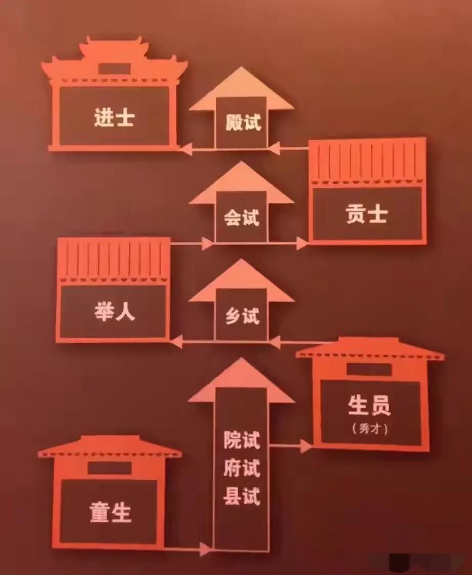 状元郎与生肖之谜，探寻古代科举文化中的生肖寓意