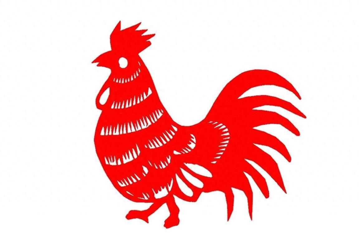 傍门依户，生肖文化中的隐秘寓意与热议解释的落实