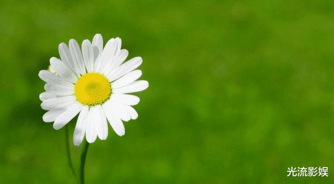 走路最快的生肖,成就解释落实 走路最快的生肖,成就解释落实