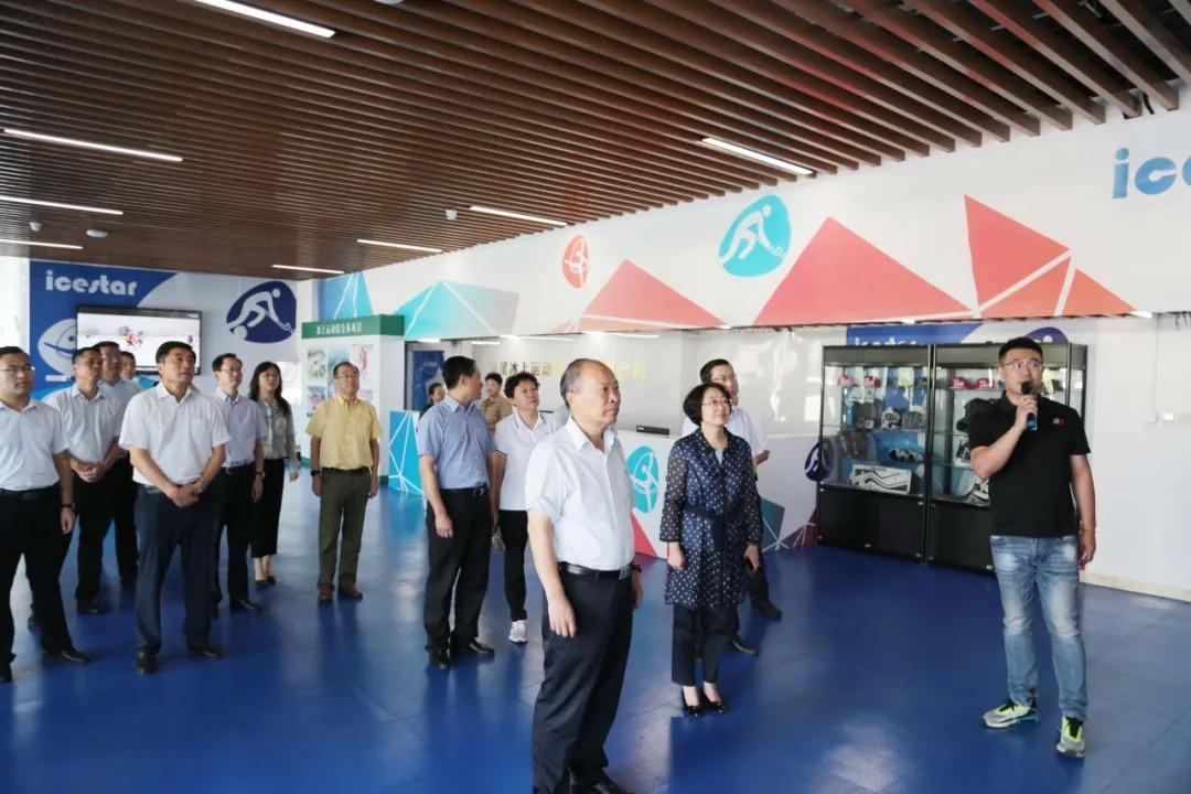 揭秘生肖小家子相，全面解析与文化落实