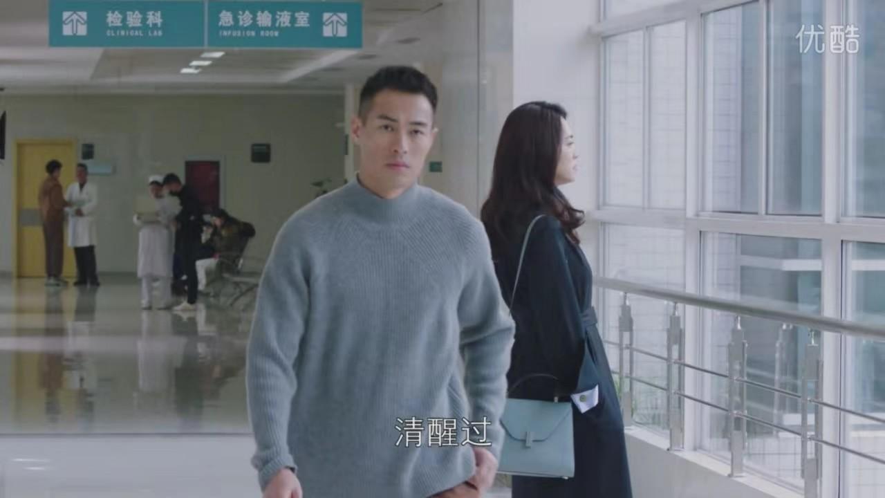 误解与反思，狗与生肖相合的迷思