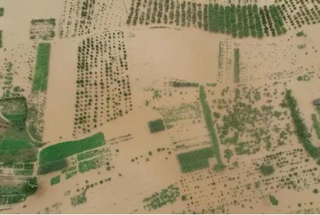 揭秘行雷布阵施大雨背后的生肖玄机