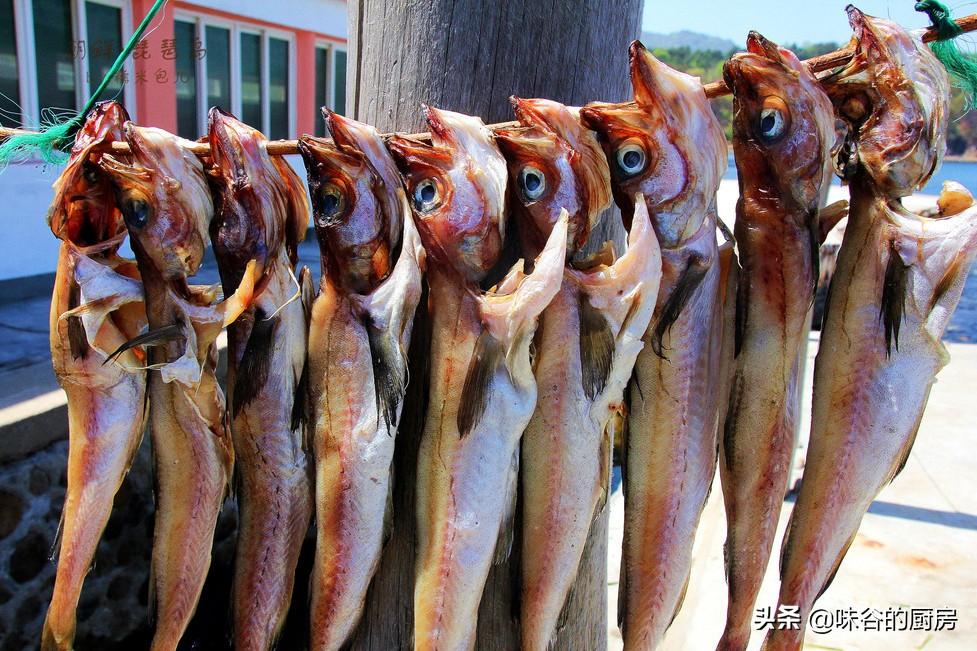 贼走关门猜一动物,智慧与寓意的深刻解读 贼走关门猜一动物,智慧与寓意的深刻解读