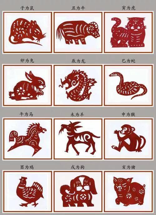 木肖是指哪几个生肖，词语的深层释义与文化解读