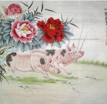 解读与世无争的生肖智慧，兔的处世哲学