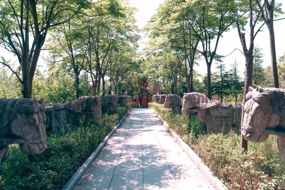 隐约之间,生肖之谜—探寻隐隐约约背后的生肖寓意 隐约之间,生肖之谜—探寻隐隐约约背后的生肖寓意