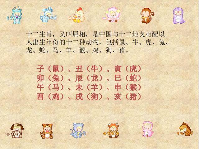 十二生肖特点和特征，正确解释与落实