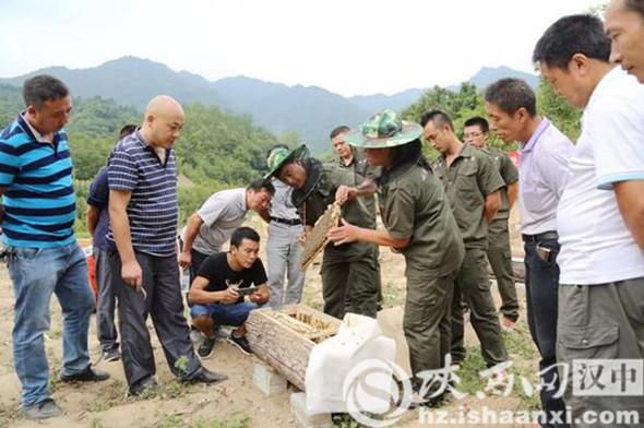 土地神与生肖的神秘联结，探寻文化深处的智慧