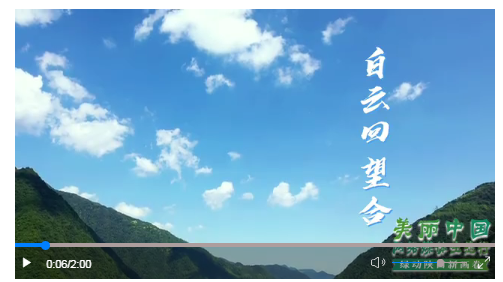 南方生肖的独特魅力，文化与自然的和谐共生