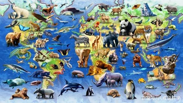 瓮声瓮气，揭秘背后的动物谜团与时代解释的落实