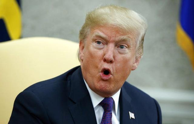 寸步不让，网络解释下的智慧之龟