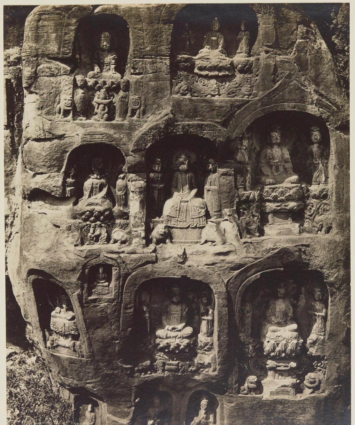 团结的力量,吃素生肖的和谐共融 团结的力量,吃素生肖的和谐共融