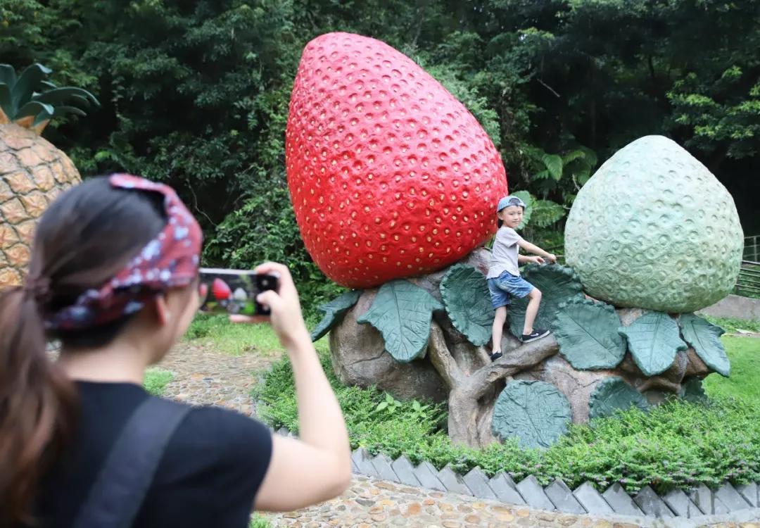 阴毒背后的坚韧与不屈，生肖之谜的深度剖析