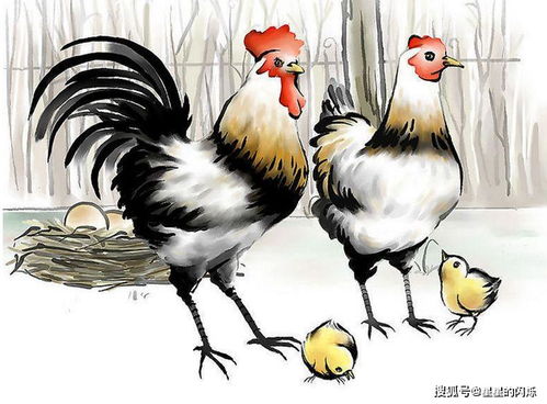 风流佳话猜一动物，能人解释与现代生活的落实