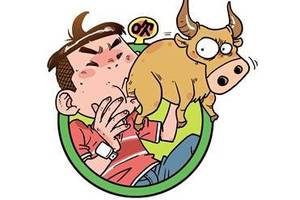 揭秘喜欢吹牛的生肖，背后的智慧与策略