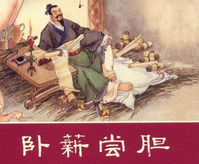 尝胆卧薪，揭秘生肖背后的非凡寓意与落实之道