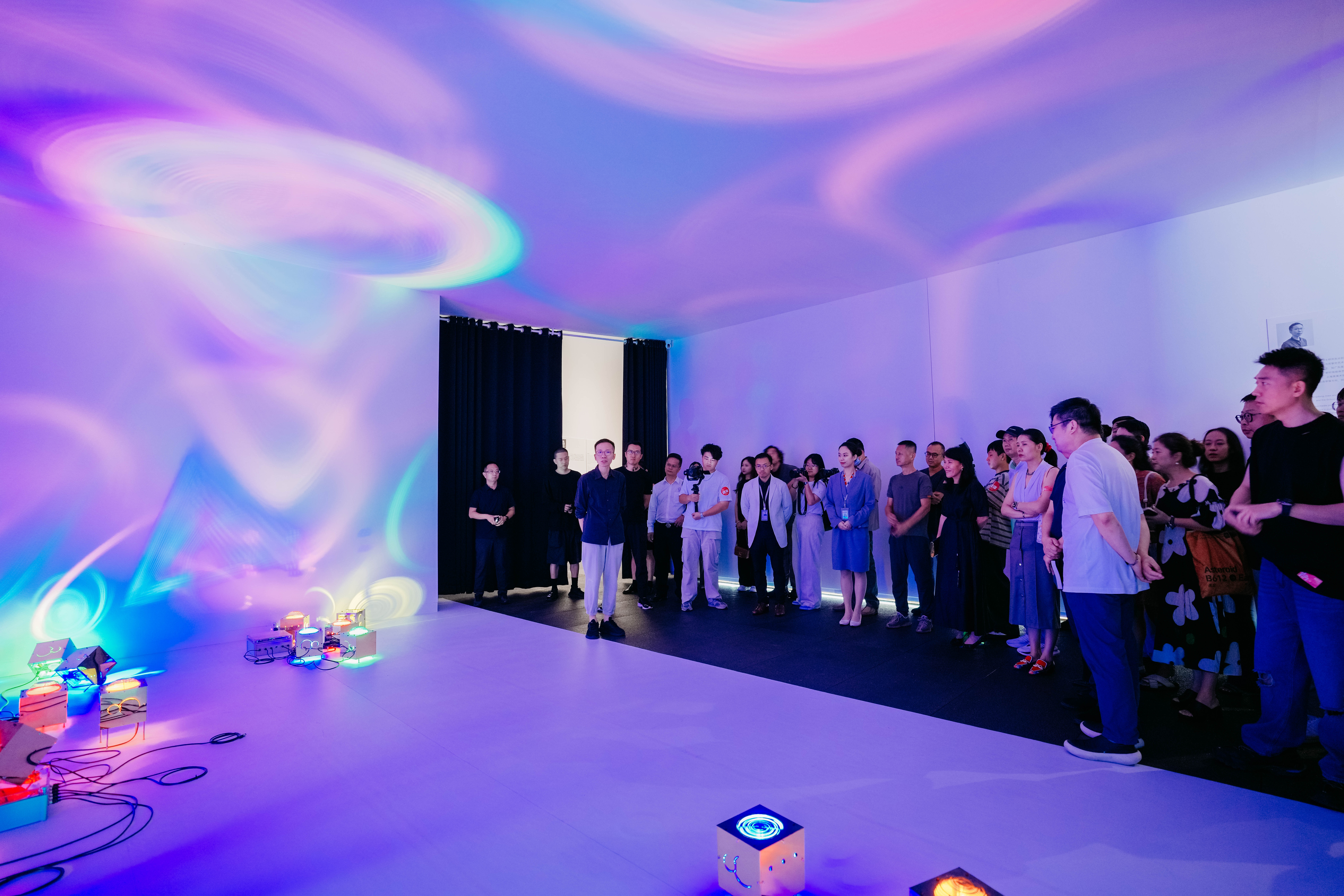 从说咸道淡到猜一动物，一场文化与科学的奇妙碰撞