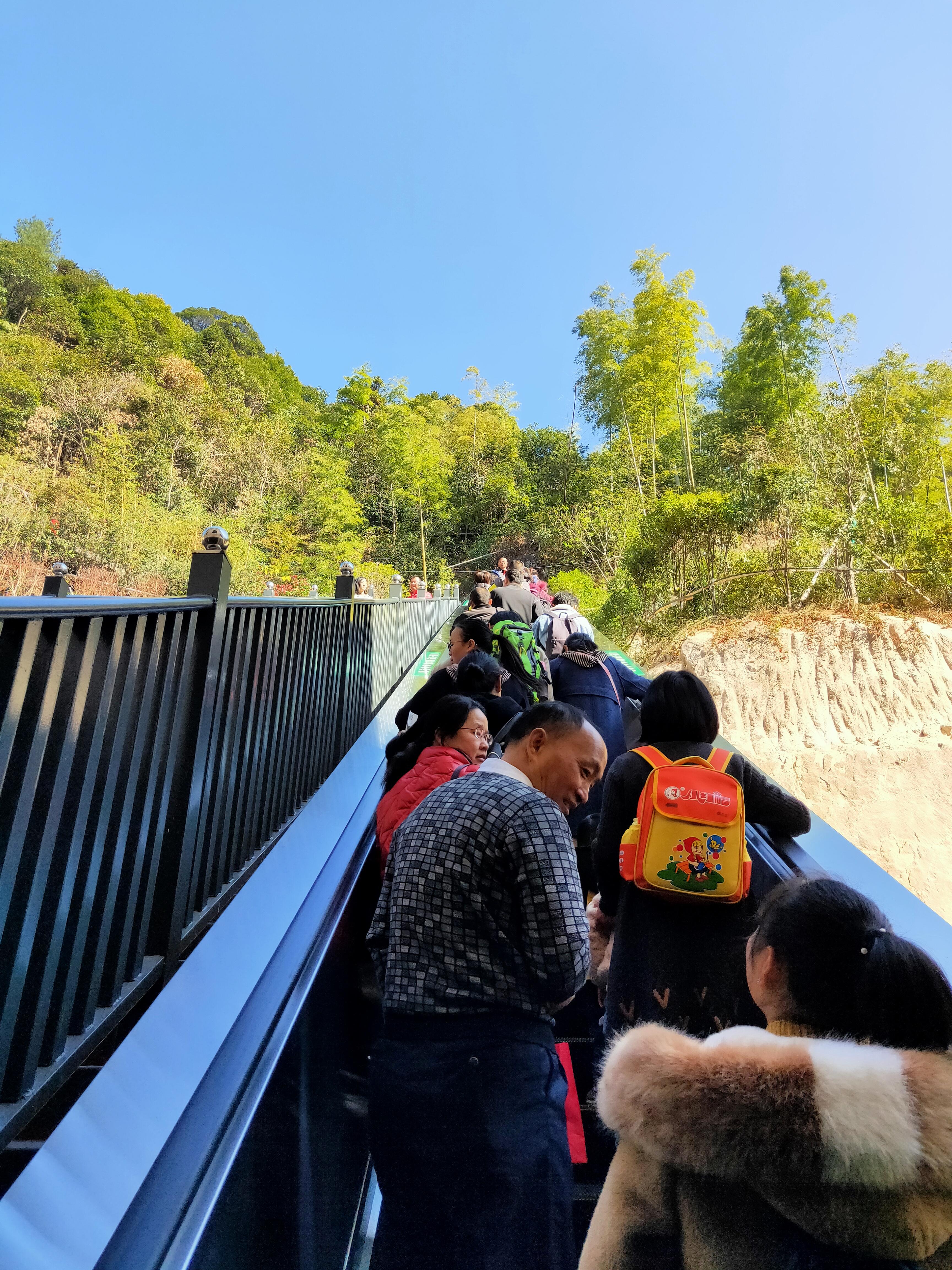 揭秘四方来朝背后的生肖奥秘