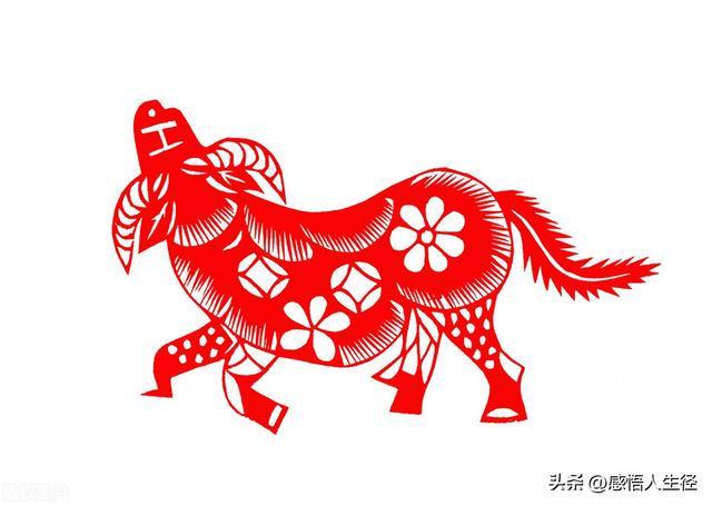 十二生肖中的坚韧与不屈，鼠年争第一的背后故事