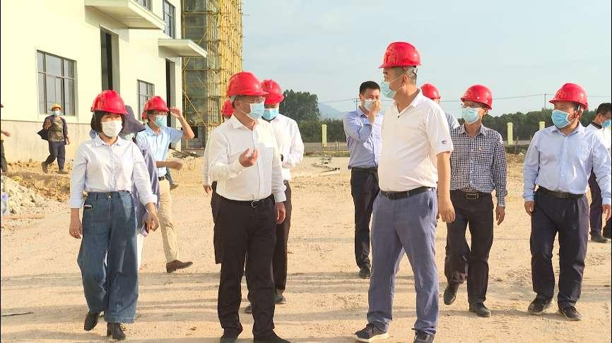 最忠诚的生肖是什么，精选解析与落实的详细结果