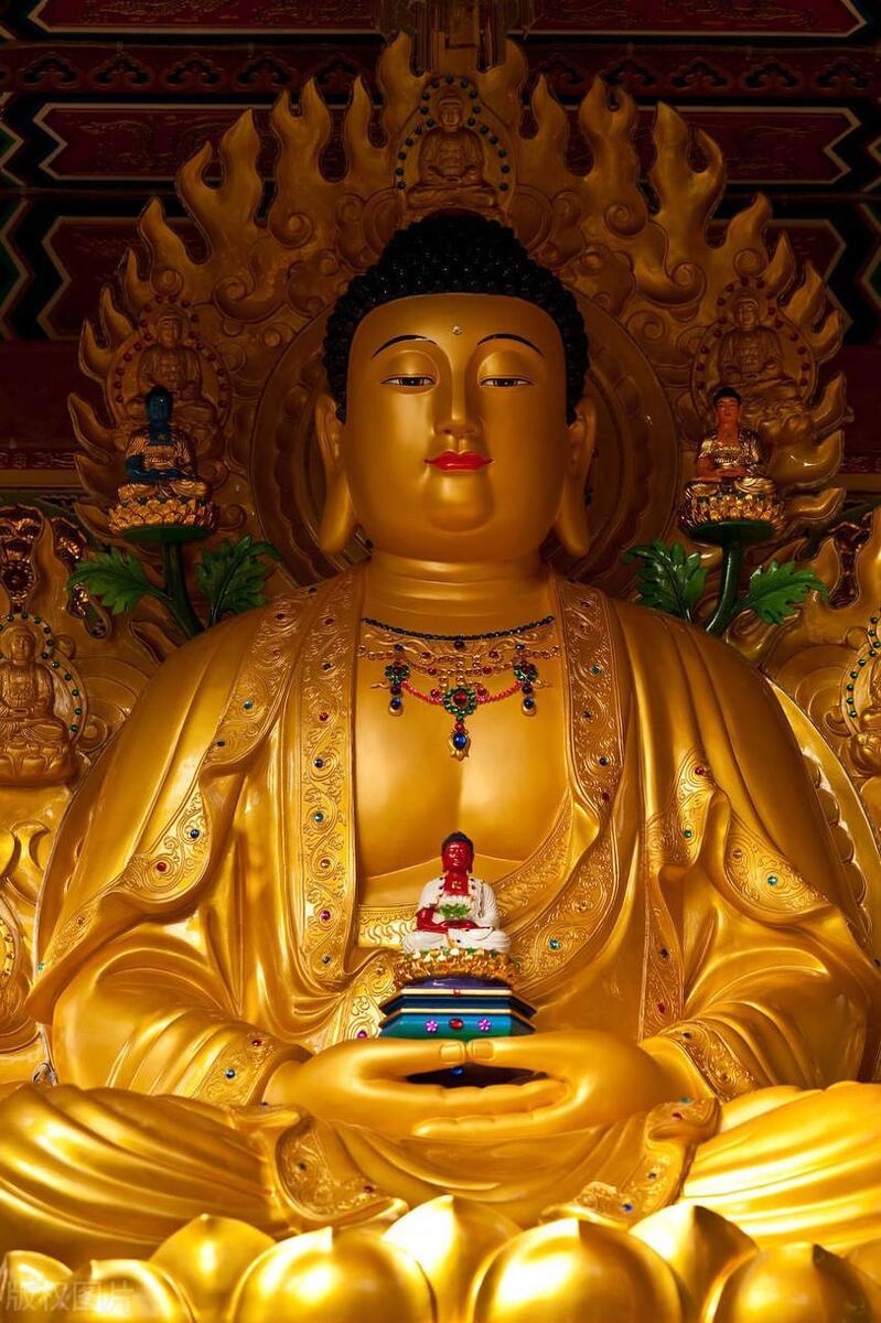 红杏出墙，生肖之谜的寓言解析