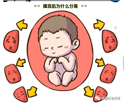 摇摇欲倒是指什么生肖，的不安分之选