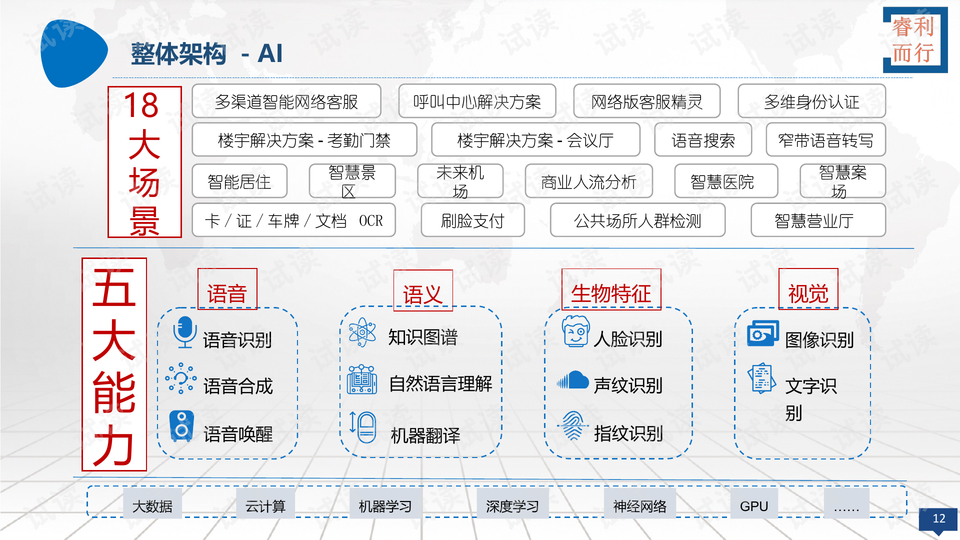 大笔一挥，生肖之谜与决策的智慧