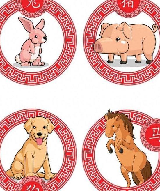 哪个生肖见多识广，生肖鼠的智慧与洞察力