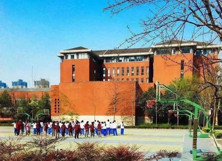 落荒而逃，揭秘生肖中的逃逸者—鼠