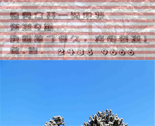 牛冲羊，生肖相冲的误解与正确解读