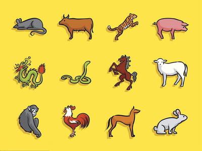 十万火急的生肖之谜，一场文化与智慧的深度解析