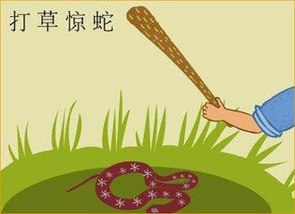 打草惊蛇猜一动物，正确解释与落实