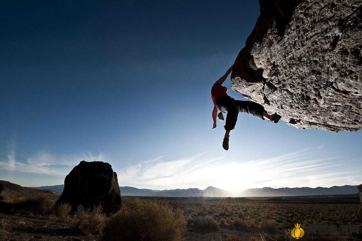 今朝有酒今朝醉是什么生肖，背后的坚韧与不屈
