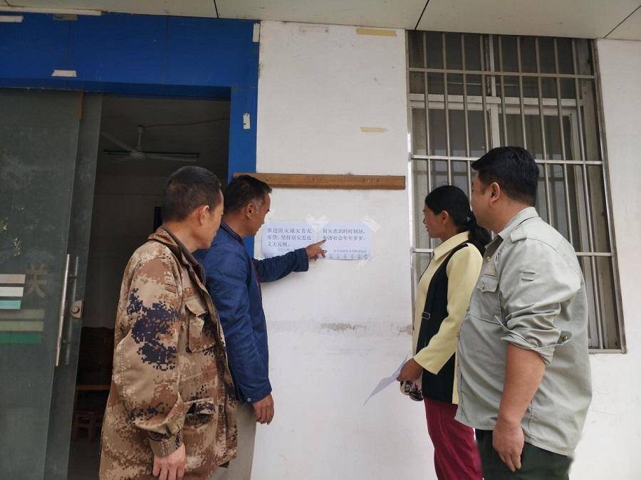 静观其变与积极行动，生肖猜谜中的智慧平衡