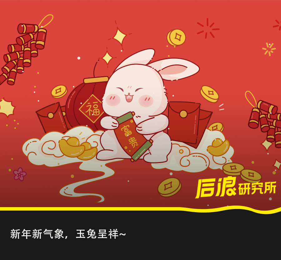 兔年之后，龙腾云起—生肖智慧与战略运用的深度解析