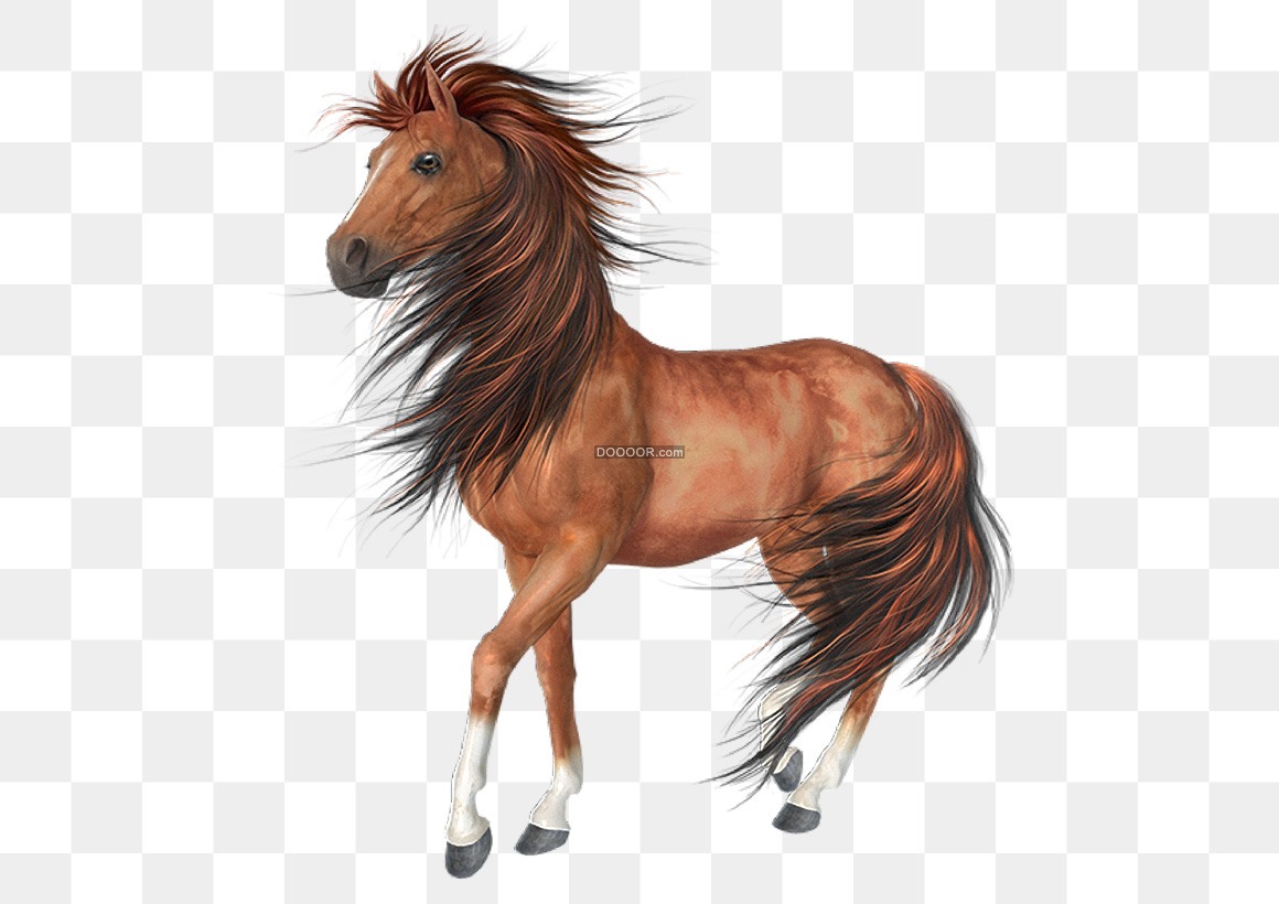 英姿飒爽猜一动物，能人解释与现代生活的落实