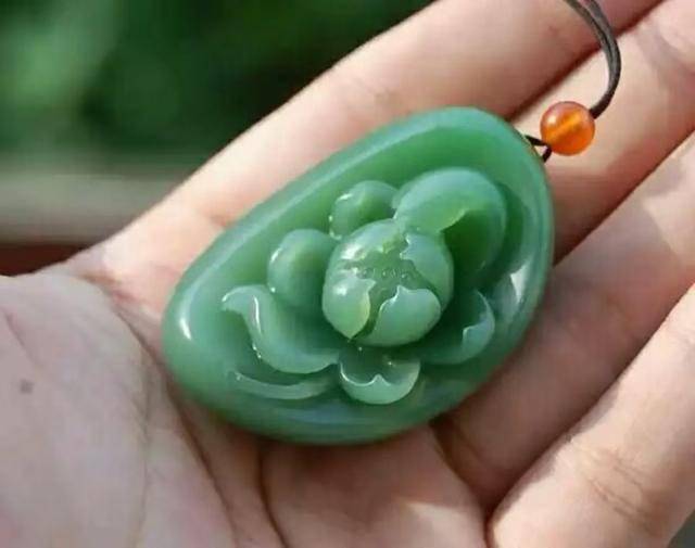 小家碧玉猜一动物，精选解析与落实的详细结果