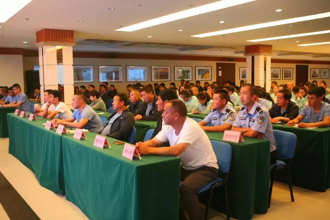 猪的六个合生肖，全面解析与文化落实